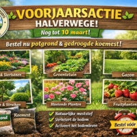 Voorjaarsactie Schutterij St. Gertrudis