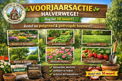 🌱🌼 VOORJAARSACTIE – HALVERWEGE! 🌼🌱